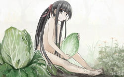 Rule 34 | 1girl, barefoot, black eyes, black hair, cabbage, completely nude, day, dirty, dirty feet, flower, full body, hair ribbon, holding, long hair, looking at viewer, no nose, nude, on ground, original, outdoors, ponytail, red ribbon, ribbon, roreru (rorerore-ya), sidelocks, signature, sitting, smile, solo, tree, very long hair