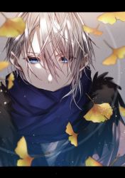 Rule 34 | 1boy, akasaki uraba, autumn leaves, blue eyes, blue scarf, blurry, circle, commentary request, covered mouth, depth of field, empty eyes, falling leaves, ginkgo leaf, grey background, hair over eyes, leaf, letterboxed, looking at viewer, male focus, messy hair, scarf, scarf over mouth, silver hair, solo, touken ranbu, yamanbagiri chougi