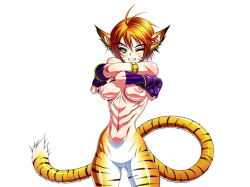 Rule 34 | 1girl, animal ears, breasts, breath of fire, breath of fire ii, capcom, cat ears, cat tail, facial mark, fingerless gloves, gloves, green eyes, inagaki, large breasts, muscular, nipples, one eye closed, orange hair, rinpoo chuan, shirt, short hair, smile, solo, tail, wink