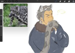 Rule 34 | ..., 1boy, animal ears, art program in frame, bara, biting, biting own tail, blackthornwww, facial hair, frown, goatee, grey hair, highres, jacket, jaguar, jaguar ears, jaguar tail, looking at viewer, male focus, mature male, mustache, old, old man, original, procreate (medium), procreate (software), reference inset, short hair, sketch, solo, sparse stubble, tail, tail biting, thick eyebrows, upper body
