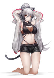 Rule 34 | 1girl, absurdres, animal ear fluff, animal ears, arknights, armpits, arms behind head, arms up, bare legs, barefoot, black scarf, black shorts, breasts, cat ears, cat tail, cleavage, commentary, crop top, grey hair, hair between eyes, highres, jacket, large breasts, long hair, long sleeves, looking at viewer, midriff, navel, onedr, open clothes, open jacket, ponytail, scarf, schwarz (arknights), short shorts, shorts, simple background, sleeveless, solo, stomach, tail, thighs, white background, yellow eyes