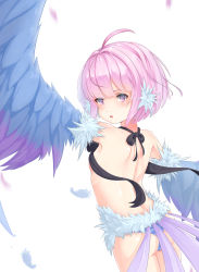 Rule 34 | 1girl, absurdres, bird tail, bird wings, blue feathers, blush, breasts, commentary request, feather hair, feathered wings, feathers, harpy, highres, monster girl, original, panties, pink eyes, pink feathers, pink hair, purple feathers, short hair, sideboob, simple background, solo, striped clothes, striped panties, tail, underwear, white background, white feathers, winged arms, wings, xiao xiao tian