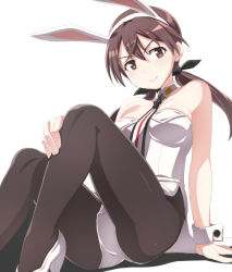 Rule 34 | 1girl, animal ears, bare shoulders, black pantyhose, blush, breasts, brown eyes, brown hair, closed mouth, fake animal ears, gertrud barkhorn, hair ornament, hair ribbon, leotard, looking at viewer, medium breasts, nanashino, pantyhose, playboy bunny, rabbit ears, ribbon, shiny skin, simple background, sitting, solo, strike witches, twintails, white background, white leotard, world witches series