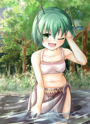 Rule 34 | 1girl, :d, adworse, alternate costume, antennae, bikini, blush, breasts, brown bikini, collarbone, commentary request, cowboy shot, day, forest, grass, green eyes, green hair, hair between eyes, highres, leaning forward, looking at viewer, midriff, mismatched bikini, nature, navel, one eye closed, open mouth, outdoors, river, sarong, short hair, small breasts, smile, solo, swimsuit, touhou, tree, water, white bikini, wriggle nightbug