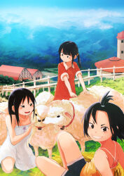 Rule 34 | 3girls, barn, black eyes, black hair, blue shorts, blush, building, camisole, clenched teeth, commentary request, day, dress, farm, fence, inami hatoko, landscape, long hair, looking at viewer, multiple girls, on ground, open mouth, original, outdoors, red dress, sheep, short hair, short sleeves, shorts, sidelocks, sitting, sleeveless, sleeveless dress, spaghetti strap, teeth, twintails, updo, white dress, yellow camisole