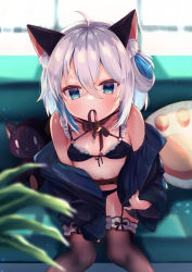 Rule 34 | 1girl, ahoge, animal ear fluff, animal ears, bell, black bow, black bra, black panties, black shirt, black thighhighs, blouse, blue eyes, blue hair, blurry, blurry background, blurry foreground, blush, bow, bra, cat ears, cat girl, commentary request, couch, depth of field, ebihara beniko, feet out of frame, fishnet thighhighs, fishnets, garter straps, glint, hair between eyes, hair rings, highres, jingle bell, leaning forward, long sleeves, looking at viewer, mouth hold, multicolored hair, navel, off shoulder, on couch, open clothes, open shirt, original, panties, shirt, silver hair, sitting, sleeves past wrists, solo, stuffed animal, stuffed cat, stuffed toy, thighhighs, two-tone hair, underwear, wide sleeves, window