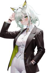 Rule 34 | 1girl, absurdres, animal ear fluff, animal ears, arknights, black jacket, blush, closed mouth, collared shirt, commentary request, dress shirt, green eyes, grey hair, hair intakes, hand in pocket, highres, jacket, kal&#039;tsit (arknights), long sleeves, looking at viewer, open clothes, open jacket, pants, sama (sama24654684), shirt, simple background, solo, watch, white background, white pants, white shirt, wristwatch
