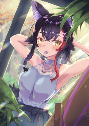 Rule 34 | 1girl, absurdres, animal ear fluff, animal ears, armpits, black hair, blush, braid, breasts, hair between eyes, hair ornament, hairclip, hand in own hair, highres, hololive, jewelry, leaf, long hair, looking at viewer, medium breasts, mihaeru, mirror, mouth hold, multicolored hair, necklace, ookami mio, ookami mio (street), ponytail, red hair, ribbon, ribbon in mouth, smile, solo, streaked hair, sunlight, tail, upper body, virtual youtuber, window, wolf ears, wolf girl, wolf tail, yellow eyes