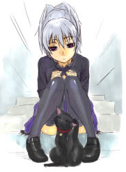 Rule 34 | 1girl, animal, ashiomi masato, bell, neck bell, between legs, black cat, cat, cat between legs, collar, darker than black, dress, knees together feet apart, loafers, mao (darker than black), purple eyes, scratching, shoes, silver hair, sitting, solo, stairs, thighhighs, yin (darker than black)