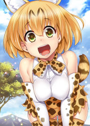 Rule 34 | 10s, 1girl, :d, animal ears, bare shoulders, bent over, blonde hair, blue sky, bow, bowtie, breasts, brown eyes, cat ears, cat tail, cloud, cloudy sky, covered erect nipples, day, elbow gloves, eyelashes, gloves, hair between eyes, hijiri tsukasa, kemono friends, large breasts, looking at viewer, open mouth, orange hair, outdoors, serval (kemono friends), serval print, serval tail, shirt, short hair, skirt, sky, sleeveless, sleeveless shirt, smile, socks, solo, striped tail, tail, tareme, thighhighs, tongue, tree, white shirt