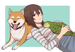 Rule 34 | 1girl, bird, breasts, brown eyes, brown hair, closed mouth, dog, girls und panzer, large breasts, looking at viewer, nishizumi maho, parrot, shiba inu, short hair, simple background, smile, striped clothes, striped sweater, sweater, torinone