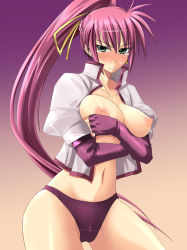 Rule 34 | 00s, 1girl, black panties, bottomless, breast hold, breasts squeezed together, breasts, elbow gloves, fingerless gloves, gloves, green eyes, hair ribbon, ichimedoo, large breasts, long hair, lyrical nanoha, mahou shoujo lyrical nanoha, mahou shoujo lyrical nanoha a&#039;s, nipples, no bra, open clothes, open shirt, panties, ponytail, purple hair, purple panties, ribbon, shirt, signum, solo, tears, underwear, very long hair