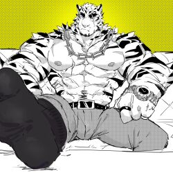 Rule 34 | 1boy, abs, absurdres, animal ears, arknights, bara, belt, chain, chain necklace, chinese commentary, commentary, cross scar, facial scar, feet on table, foot up, furry, furry male, greyscale with colored background, halftone, halftone background, halftone texture, highres, jewelry, looking at viewer, male focus, mountain (arknights), multiple scars, muscular, muscular male, necklace, nipples, pants, partially colored, pectorals, run (arun six), scar, scar across eye, scar on arm, scar on cheek, scar on chest, scar on face, scar on stomach, socks, tiger boy, tiger ears, tiger stripes, topless male, watch, wristwatch