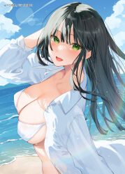 Rule 34 | 1girl, bekotarou, bikini, black hair, blush, breasts, green eyes, hand in own hair, highres, large breasts, long hair, looking at viewer, ocean, open clothes, open mouth, open shirt, original, outdoors, shirt, smile, solo, swimsuit, upper body, white bikini, white shirt