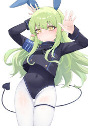 Rule 34 | 1girl, absurdres, animal ears, armband, black jacket, black leotard, blue archive, blue armband, blush, closed mouth, commentary request, covered navel, crop top, cropped jacket, demon tail, fake animal ears, green hair, hands up, highres, hikari (blue archive), jacket, leotard, leotard under clothes, long hair, long sleeves, looking at viewer, no gloves, no halo, pantyhose, playboy bunny, pointy ears, rabbit ears, rabbit pose, shawn358, sidelocks, simple background, skindentation, solo, sweat, tail, thigh gap, thigh strap, white background, white pantyhose, yellow eyes