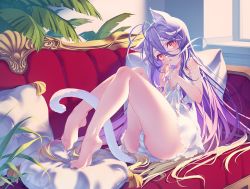 Rule 34 | 1girl, animal ear fluff, animal ears, ass, bare back, bare legs, bare shoulders, barefoot, blue hair, breasts, cat ears, cat tail, couch, fake animal ears, feet, highres, no game no life, panties, pillow, red eyes, see-through, shiro (no game no life), skirt, small breasts, soles, suaynnai wanzi, tail, thighs, toes, underwear, white skirt
