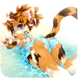 Rule 34 | 1girl, animal ears, ass, bad id, bad pixiv id, blue eyes, body fur, cat, cat ears, claws, furry, furry female, looking back, lying, mizuki kotora, on stomach, original, plaid, solo, swimsuit, tail, wading, water, wet