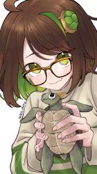 Rule 34 | 021 shiro, 1girl, ahoge, animal, blush, brown-framed eyewear, brown hair, closed mouth, colored inner hair, fang, glasses, grey hair, highres, holding, holding animal, looking at viewer, multicolored hair, original, short hair, skin fang, smile, solo, turtle