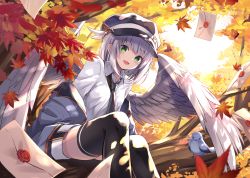 Rule 34 | 1girl, autumn leaves, bird, bird wings, black thighhighs, blue hat, blush, branch, breasts, buckle, cabbie hat, coat of arms, collared shirt, commentary request, day, eyelashes, feather hat ornament, feathered wings, feet out of frame, grey eyes, hanging legs, hat, hat feather, in tree, kure~pu, leaf, letter, long sleeves, looking at viewer, mail, open mouth, original, shirt, short hair, short shorts, shorts, sidelocks, silver hair, sitting, sitting in tree, small breasts, solo, solo focus, sunlight, thighhighs, tree, white shirt, white wings, wing collar, wings