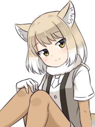 Rule 34 | 1girl, animal ear fluff, animal ears, commentary, elbow gloves, eyes visible through hair, fox ears, fur collar, gloves, grey vest, hand on own knee, head tilt, highres, kemono friends, light brown hair, looking at viewer, multicolored hair, one-hour drawing challenge, pantyhose, shiraha maru, shirt, short sleeves, simple background, sitting, smile, solo, split mouth, tibetan fox (kemono friends), twitter username, two-tone hair, vest, white background, white hair, white shirt, yellow eyes