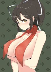 Rule 34 | 1girl, asuka (senran kagura), breasts, highres, large breasts, senran kagura, solo, tagme