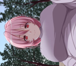 Rule 34 | 1girl, breasts, commentary, day, hair between eyes, highres, lap pov, large breasts, looking at viewer, nori tamago, outdoors, pink hair, red eyes, saigyouji yuyuko, short hair, sideways, smile, solo, touhou, tree