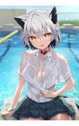Rule 34 | 1girl, absurdres, animal ears, black collar, blouse, blurry, blush, bra, cat ears, cat tail, collar, collared shirt, commentary, day, depth of field, dress shirt, english commentary, grey hair, highres, letterboxed, looking at viewer, navel, open clothes, open mouth, open shirt, original, outdoors, pool, poolside, school uniform, see-through, shirt, shirt tucked in, sitting, solo, tail, underwear, water, water drop, wet, wet clothes, wet shirt, white bra, white shirt, yayoichi (yoruyoru108), yellow eyes