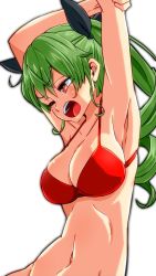 Rule 34 | 1girl, anchovy (girls und panzer), aono3, arm grab, armpits, arms up, bikini, black ribbon, breasts, claw pose, cleavage, drill hair, girls und panzer, green hair, hair ribbon, half-closed eye, highres, large breasts, long hair, navel, one eye closed, open mouth, red bikini, red eyes, ribbon, simple background, skindentation, solo, standing, swimsuit, twin drills, twintails, white background
