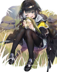 Rule 34 | 1girl, ;d, absurdres, animal, arknights, arknights: endfield, black footwear, black hair, black jacket, black pantyhose, black shorts, collared shirt, endministrator (arknights), female endministrator (arknights), hair ornament, hairclip, highres, holding, holding animal, jacket, knees up, layered sleeves, looking at viewer, lower teeth only, moyume, one eye closed, open clothes, open jacket, open mouth, pantyhose, ribbed shirt, shirt, shoes, short hair, shorts, sidelocks, sitting, smile, solo, teeth, white shirt, yellow eyes