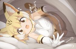 Rule 34 | 1girl, animal ear fluff, animal ears, bed, bed invitation, blonde hair, blush, breasts, cat ears, cat girl, cat tail, commentary request, cowboy shot, elbow gloves, gloves, kemono friends, lets0020, looking at viewer, medium bangs, open mouth, pillow, sand cat (kemono friends), shirt, short hair, skirt, sleeveless, sleeveless shirt, small breasts, smile, solo, tail, translation request, under covers, white gloves, white shirt, yellow skirt