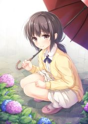 Rule 34 | 1girl, bow, brown eyes, brown hair, cardigan, flower, footwear bow, from side, full body, hand on own thigh, holding, holding umbrella, hydrangea, long sleeves, looking at viewer, looking to the side, low ponytail, original, oukatihiro, outdoors, pink bow, pink footwear, rain, shirt, shoes, skirt, smile, solo, squatting, umbrella