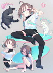 Rule 34 | 1girl, :q, ahoge, arm support, barefoot, black cape, black shirt, black shorts, black thighhighs, blue eyes, breasts, brown hair, cape, capelet, cat, closed mouth, energy ball, english text, feet, fingernails, grey background, hand on own hip, heterochromia, hibi tsuna, highres, mesugaki, mole, mole on breast, motion blur, multiple views, original, red eyes, shirt, short hair, shorts, sitting, sleeveless, sleeveless shirt, small breasts, thighhighs, toes, tongue, tongue out, twintails, twitter username, v over eye, white capelet, white shirt, zettai ryouiki