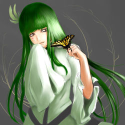 Rule 34 | 1girl, alternate eye color, arrancar, bleach, blunt bangs, brown eyes, bug, butterfly, cyan sung-sun, facial mark, green hair, grey background, insect, lavie s, long hair, simple background, sleeves past wrists, slit pupils, smile, solo