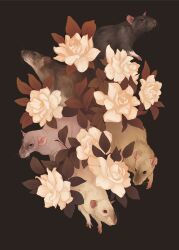 Rule 34 | 5others, animal, animal ears, animal focus, bald, black eyes, commission, dark background, flower, highres, leaf, mouse (animal), mouse ears, mouse tail, multiple others, no humans, norapotwora, original, procreate (medium), red eyes, simple background, smelling, tail, whiskers, white flower