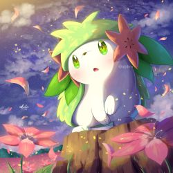 Rule 34 | absurdres, blush, cloud, commentary request, creatures (company), field, flower, flower field, game freak, gen 4 pokemon, green eyes, highres, legendary pokemon, mythical pokemon, night, nintendo, no humans, open mouth, outdoors, petals, pink flower, pokemer, pokemon, pokemon (creature), shaymin, shaymin (land), sky, solo, star (sky), tongue, twitter username