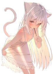 Rule 34 | 1girl, animal ears, blush, breasts, cat ears, cat tail, dress, food, hair between eyes, highres, long hair, looking at viewer, original, pocky, red eyes, see-through silhouette, shiro youduki, simple background, small breasts, solo, tail, very long hair, white background, white dress, white hair