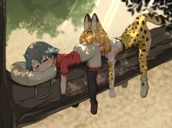 2girls :3 absurdres animal_ears animal_print ass backpack bag black_hair blonde_hair blush bow bowtie chis_(js60216) elbow_gloves extra_ears face_in_ass gloves head_on_ass high-waist_skirt highres in_tree kaban_(kemono_friends) kemono_friends lying multiple_girls on_stomach orange_bow orange_bowtie print_bow print_bowtie print_gloves print_skirt red_shirt serval_(kemono_friends) shirt short_hair short_sleeves skirt sleeping sleeveless sleeveless_shirt smile striped_tail tail thighhighs tree two-tone_bow two-tone_bowtie white_bow white_bowtie yuri