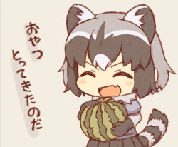 Rule 34 | 1girl, :d, animal ears, blush, chibi, closed eyes, common raccoon (kemono friends), fang, food, fruit, gloves, grey hair, holding, holding food, holding fruit, kata meguma, kemono friends, medium hair, multicolored hair, open mouth, pleated skirt, raccoon ears, raccoon girl, raccoon tail, short sleeves, skin fang, skirt, smile, solo, tail, translation request, v-shaped eyebrows, watermelon, white hair