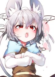 Rule 34 | !, !?, 1girl, angry, animal ears, blush, capelet, dress, grey dress, grey hair, grey skirt, grey vest, highres, kibayashi kimori, long sleeves, mouse (animal), mouse ears, mouse tail, nazrin, open mouth, red eyes, shirt, short hair, skirt, skirt set, solo, sweatdrop, tail, teeth, touhou, upper body, upper teeth only, upset, vest, white shirt