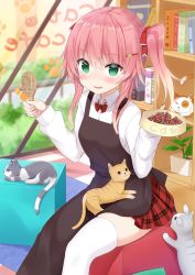 Rule 34 | 1girl, animal, animal on lap, apron, bad id, bad pixiv id, black apron, blurry, blurry background, book, bookshelf, bow, bowtie, brush, cat, cat hair ornament, checkered floor, commentary, day, depth of field, dress shirt, english commentary, english text, fang, green eyes, hair ornament, hair ribbon, hairclip, highres, holding, indoors, long sleeves, looking at viewer, medium hair, miniskirt, on lap, open mouth, original, pink hair, plaid, plaid bow, plaid bowtie, plaid neckwear, plaid skirt, plant, pleated skirt, red bow, red bowtie, red ribbon, red skirt, ribbon, school uniform, shirt, shuuichi (gothics), side ponytail, sitting, skin fang, skindentation, skirt, smile, solo, thighhighs, white shirt, white thighhighs, window, wing collar
