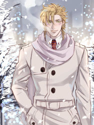 Rule 34 | 1boy, atsuyu, bad id, bad pixiv id, blonde hair, caesar anthonio zeppeli, coat, facial mark, green eyes, highres, jojo no kimyou na bouken, male focus, scarf, snow, snowing, solo, tree, trench coat, winter clothes