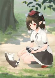 Rule 34 | 1girl, belt, black neckwear, black ribbon, black skirt, black socks, blurry, blurry foreground, brown hair, camera, cat, commentary, day, grass, hat, highres, holding, holding camera, holding leaf, kanpa (campagne 9), kneehighs, leaf, looking down, outdoors, parted lips, petticoat, pointy ears, pom pom (clothes), red eyes, red footwear, red hat, ribbon, rock, shameimaru aya, shirt, short hair, short sleeves, skirt, sleeve cuffs, smile, socks, solo, squatting, tokin hat, touhou, tree, untucked shirt, white shirt