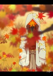 Rule 34 | 1boy, autumn leaves, blurry, blurry foreground, branch, commission, grass, haljion weapon, hands in pockets, highres, hood, hood up, leaf, letterboxed, long sleeves, maple leaf, object head, original, pixiv commission, plant, shadow, signature, solo, upper body