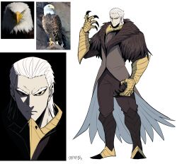 Rule 34 | 1boy, absurdres, armor, bald eagle, bird, black eyes, brown jacket, brown pants, claws, closed jacket, closed mouth, colored sclera, creature and personification, eagle, feather-trimmed jacket, frown, full body, furrowed brow, gauntlets, gegegekman, greaves, hand up, highres, jacket, looking at viewer, male focus, multiple views, original, pants, reference inset, shaded face, signature, white background, white hair, yellow sclera
