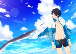 Rule 34 | 1boy, arms at sides, artist request, bird, black hair, black jammers, black male swimwear, blue jacket, blue sky, blurry, blurry foreground, clenched hands, collarbone, cowboy shot, high speed!, jacket, jammers, lens flare, looking to the side, male focus, male swimwear, nanase haruka (free!), navel, open clothes, open jacket, outdoors, sky, solo, swimsuit, water