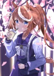 Rule 34 | 1girl, agaki anko, animal ears, bag, blue eyes, blurry, blurry background, blush, bow, brown hair, closed mouth, commentary request, cup, depth of field, disposable cup, drinking straw, hair between eyes, hair ribbon, hand up, highres, holding, holding cup, horse ears, horse girl, horse tail, long hair, long sleeves, looking at viewer, multicolored hair, pink ribbon, pleated skirt, ponytail, puffy long sleeves, puffy sleeves, purple shirt, purple skirt, ribbon, school bag, school uniform, shirt, sidelocks, skirt, solo, streaked hair, tail, tokai teio (umamusume), tracen school uniform, umamusume, very long hair, white bow, white hair