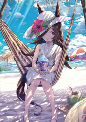 Rule 34 | 1girl, animal ears, brown hair, coconut, coconut cup, coconut tree, day, dress, drinking straw, drinking straw in mouth, food, hair over one eye, hat, highres, holding, horse ears, horse girl, horse tail, innertube, long hair, mihono bourbon (umamusume), mouth hold, murasaki himuro, outdoors, palm tree, parasol, purple eyes, rice shower (umamusume), see-through, see-through dress, shaved ice, sitting, sleeveless, sleeveless dress, solo, swim ring, tail, tree, umamusume, umbrella, white dress, white hat