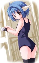 Rule 34 | 00s, 1girl, animal ears, blue hair, dutch angle, galaxy angel, gloves, indoors, looking at viewer, looking back, mint blancmanche, one-piece swimsuit, school swimsuit, shinshin, short hair, solo, swimsuit, thighhighs