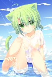 Rule 34 | 1girl, ahoge, animal ears, barefoot, bra, cat ears, cat tail, dodome-iro mayonnaise, feet, green eyes, green hair, matching hair/eyes, original, partially submerged, see-through, sharon (dodomayo), short hair, sitting, soles, solo, tail, toe scrunch, toes, underwear, water, wet, wet clothes