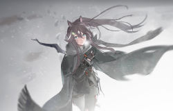 Rule 34 | 1girl, animal ears, aqua eyes, arknights, black cape, black gloves, black hair, black shirt, bow (weapon), breath, cape, commentary request, cowboy shot, floating hair, gloves, grey pants, grey scarf, hair between eyes, hand on own chest, highres, horse ears, hug (yourhug), long hair, long sleeves, looking at viewer, meteor (arknights), open mouth, pants, ponytail, scarf, shirt, solo, standing, weapon, weapon on back